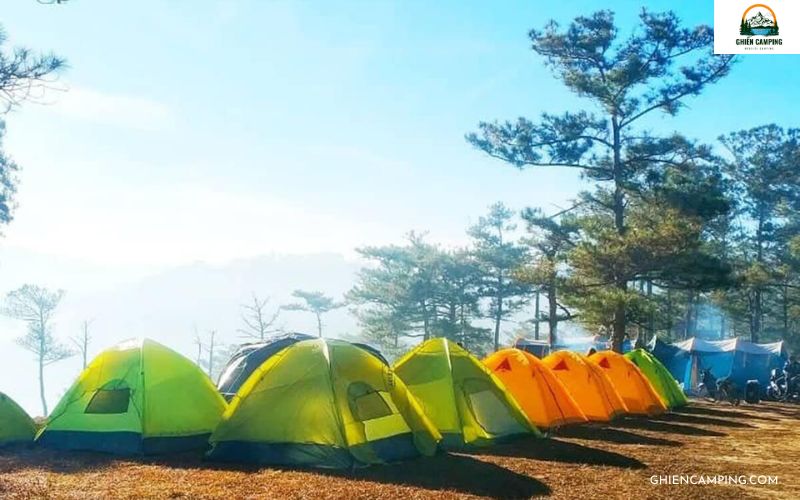 10 địa điểm cắm trại Đà Lạt siêu đẹp, nên thơ không thể bỏ lỡ 13 Thung Lũng Vàng – Địa điểm cắm trại Đà Lạt cho tín đồ sống chậm