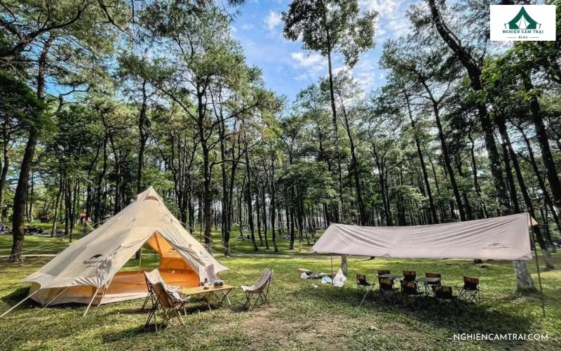 Đắm chìm trong không gian xanh mát giữa rừng thông tại khu camping Ba Vì Hà Nội