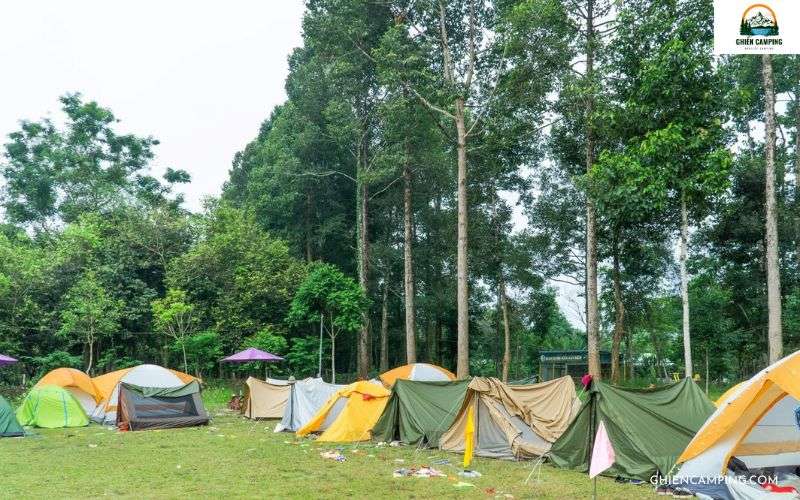 Top 12 địa điểm cắm trại gần Sài Gòn chill quên lối về 18 Cắm trại tại Vườn quốc gia Cát Tiên
