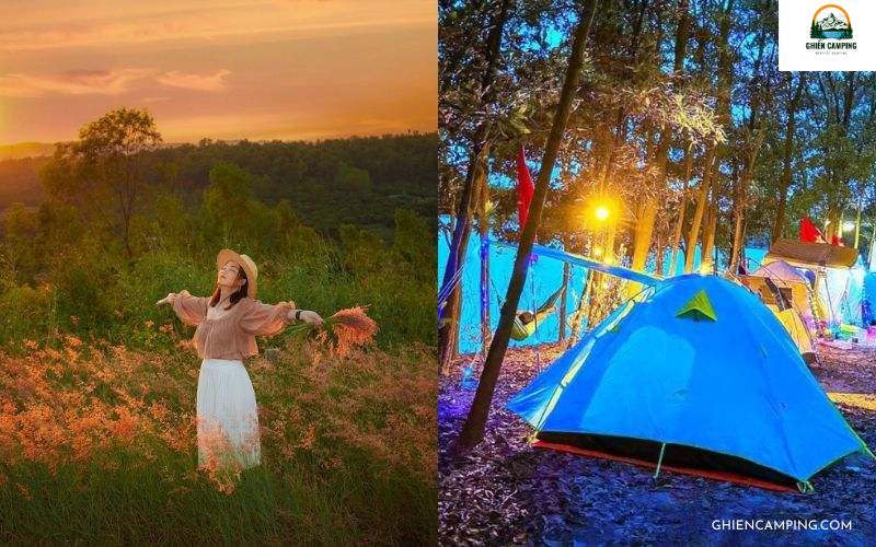 Top 6 địa điểm camping Hải Dương đẹp và chill nhất hiện nay 7 Bãi cỏ hồng Tứ Kỳ – Nơi camping Hải Dương mộng mơ