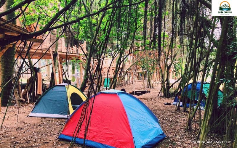 13 khu camping Hải Phòng view đẹp, hot nhất 2025 cho dân xê dịch 14 Trường Thành Farm – Địa điểm camping Hải Phòng dẫn lối vào “cổ tích”