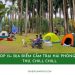 13 khu camping Hải Phòng view đẹp, hot nhất cho dân xê dịch 19 Top 13 địa điểm camping Hải Phòng đẹp quên lối về bạn nên ghé