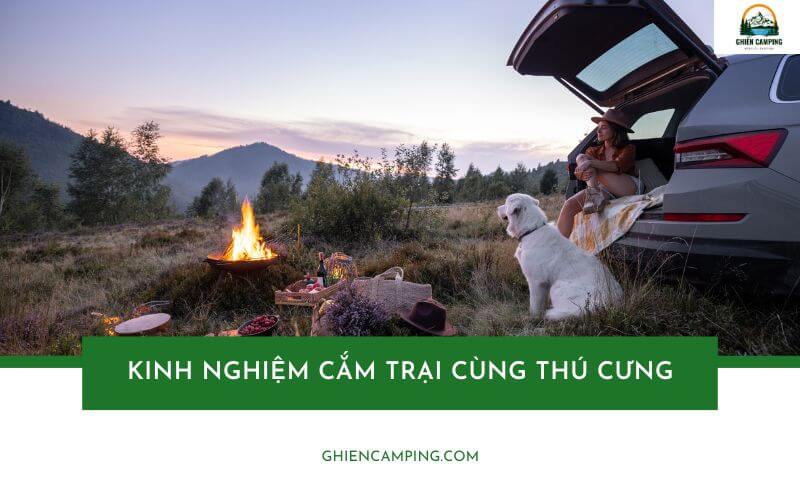 13 kinh nghiệm cắm trại cùng thú cưng mà các con sen cần biết