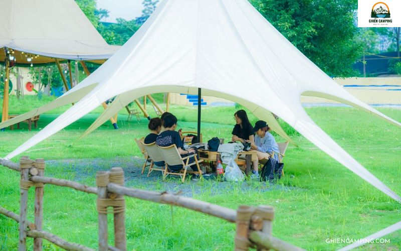 TreeFarm Coffee & Glamping