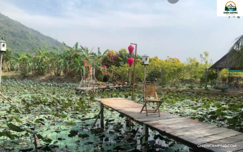 Nàng Sen - Ẩm Thực & Camping
