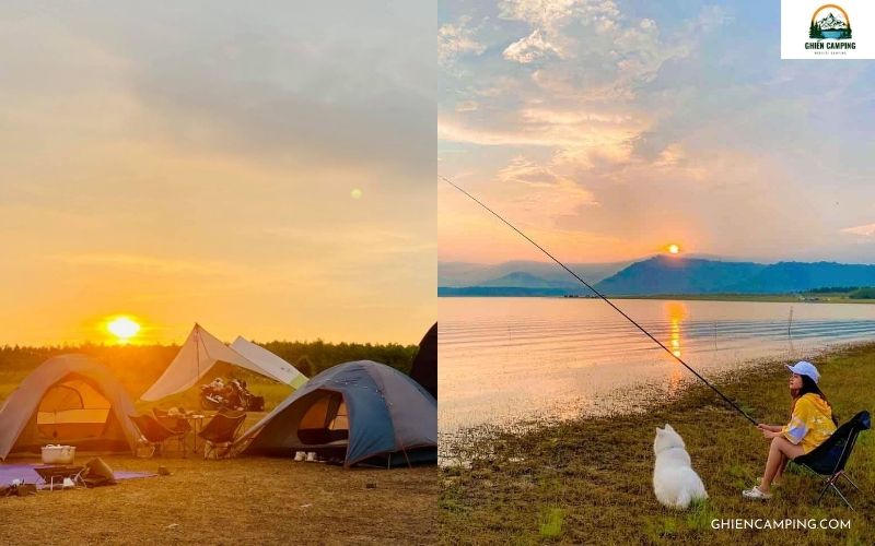 So sánh về vị trí và cách di chuyển