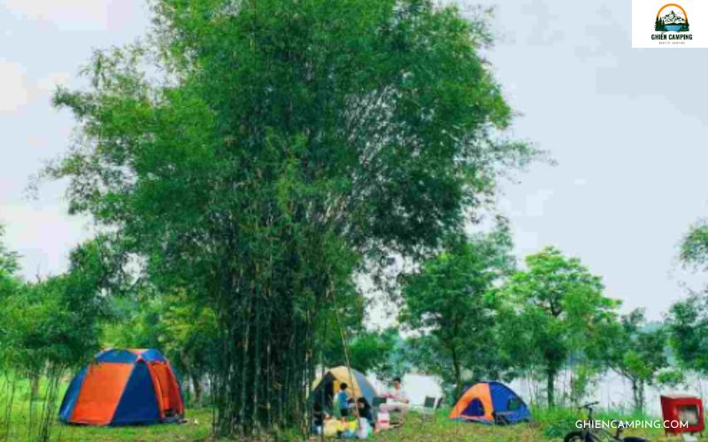 Lối sống tối giản và bền vững