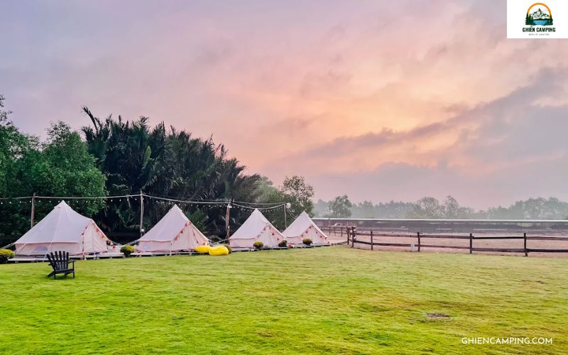 Review Vietgangz Horse Club & Glamping: Điểm check-in cực hot 7 Giới thiệu về Vietgangz Horse Club & Glamping