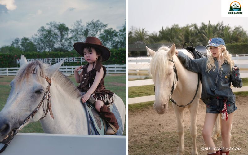 Review Vietgangz Horse Club & Glamping: Điểm check-in cực hot 12 Trải nghiệm cưỡi ngựa tại Vietgangz Horse Club & Glamping