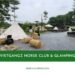 Review Vietgangz Horse Club & Glamping: Điểm check-in cực hot 27 Vietgangz Horse Club & Glamping - Điểm hẹn cuối tuần cho giới trẻ
