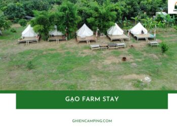 Gạo Farmstay – Trải nghiệm xanh giữa thiên nhiên Hồ Trị An 23 Gạo Farmstay – Trải nghiệm xanh giữa thiên nhiên Hồ Trị An