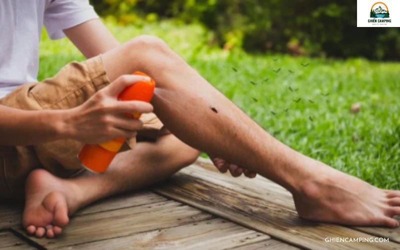 Phòng chống muỗi và côn trùng khi đi cắm trại mùa hè