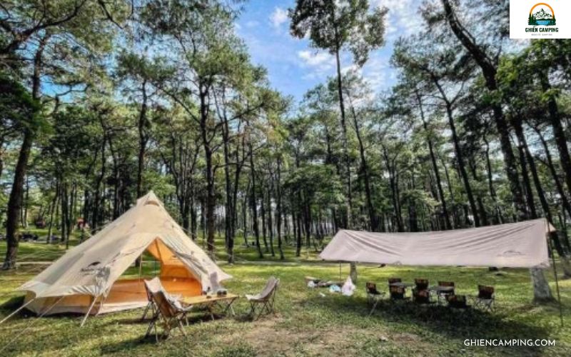 Kinh nghiệm cắm trại trong rừng từ các chuyên gia camping lâu năm 6 Ưu tiên chọn vị trí đất bằng phẳng để cắm trại trong rừng