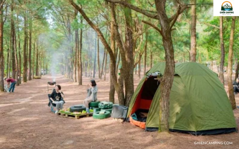 Kinh nghiệm cắm trại trong rừng từ các chuyên gia camping lâu năm 8 Rừng Thiên Phú Lâm có không khí trong lành, không gian rộng thoáng