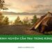 Kinh nghiệm cắm trại trong rừng từ các chuyên gia camping lâu năm