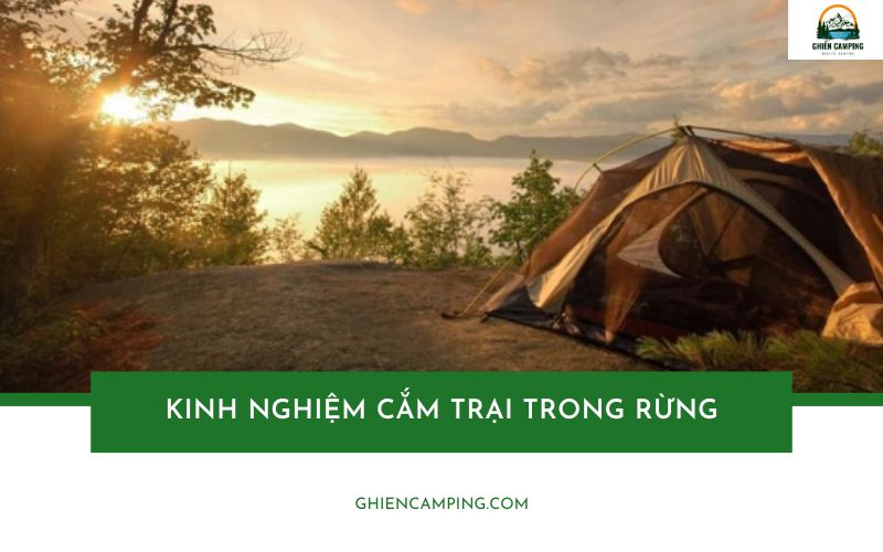 Kinh nghiệm cắm trại trong rừng an toàn, chi tiết từ A – Z