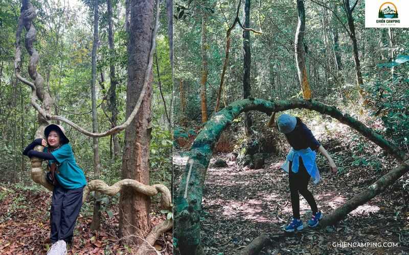 Trekking thú vị rừng Mã Đà