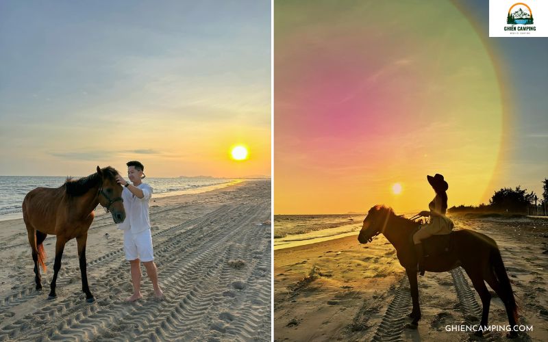 Vietgangz Horse Club mang cho du khách trải nghiệm cưỡi ngựa độc đáo