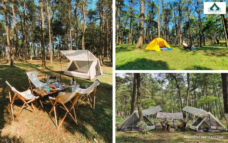 Top 7+ điểm cắm trại Ba Vì có view rừng thông chill nhất 10 Cắm trại ở Vườn quốc gia Ba Vì cực thú vị