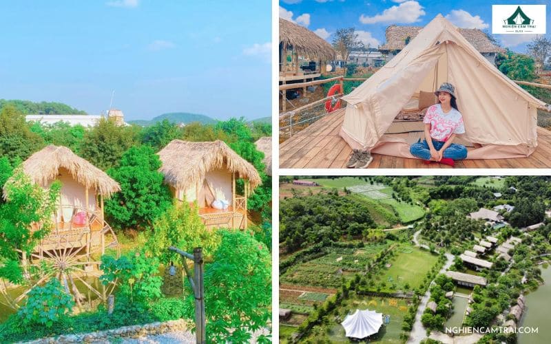 Top 7+ điểm cắm trại Ba Vì có view rừng thông chill nhất 11 Điểm cắm trại nổi tiếng Khu sinh thái Ba Vì Eco Camping