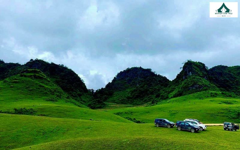 Top 5 địa điểm cắm trại Cao Bằng hoang sơ, đẹp như trong tranh 9 Đồi thông Phan Thanh