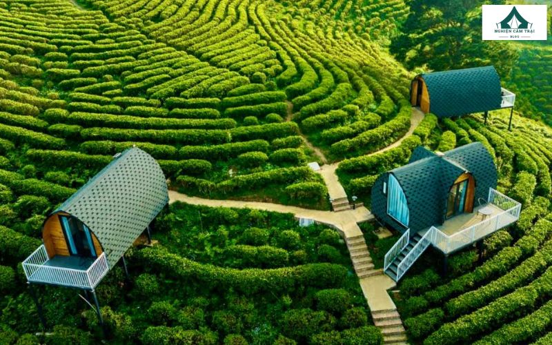 Top 5 địa điểm cắm trại Cao Bằng hoang sơ, đẹp như trong tranh 10 Kolia Farm