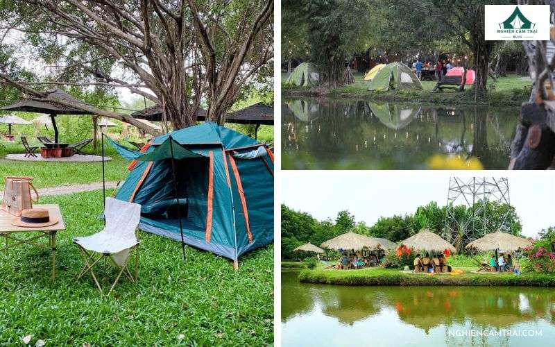 Top 10 địa điểm cắm trại câu cá gần Sài Gòn cuối tuần thư giãn 15 Bò Cạp Vàng cắm trại câu cá gần Sài Gòn