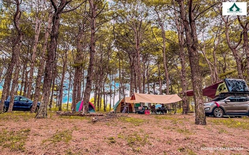 TOP 5+ Địa điểm cắm Trại Gia Lai Đáng Trải Nghiệm Nhất 2025 13 Cắm trại yên bình tại đồi thông Diên Phú