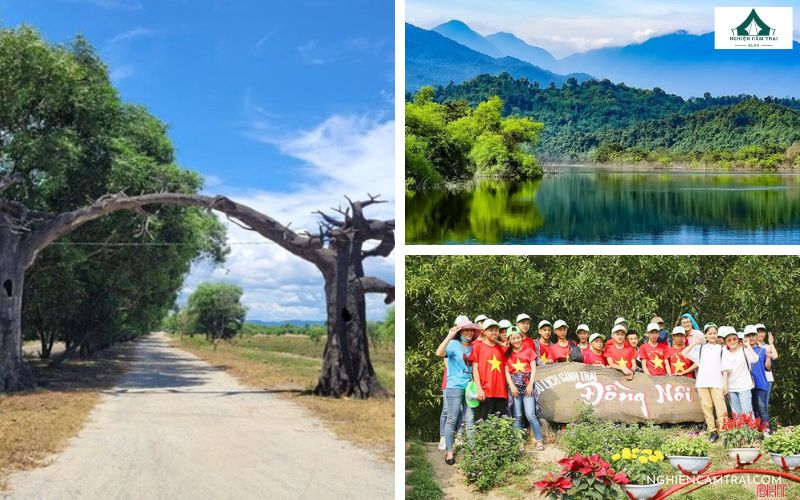 Top 5 địa điểm cắm trại Hà Tĩnh view đẹp, hoang sơ 9 Khu du lịch sinh thái Đồng Nôi – Điểm cắm trại an toàn, tiện nghi
