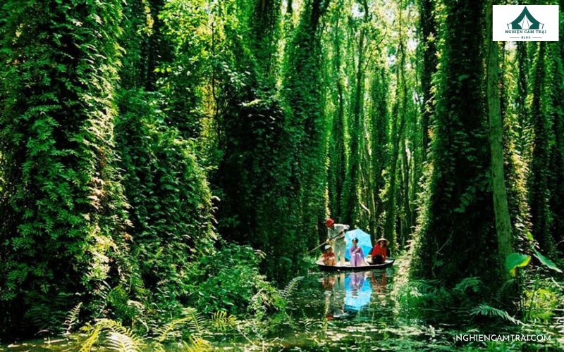 Cắm trại ở Rừng tràm Vị Thủy