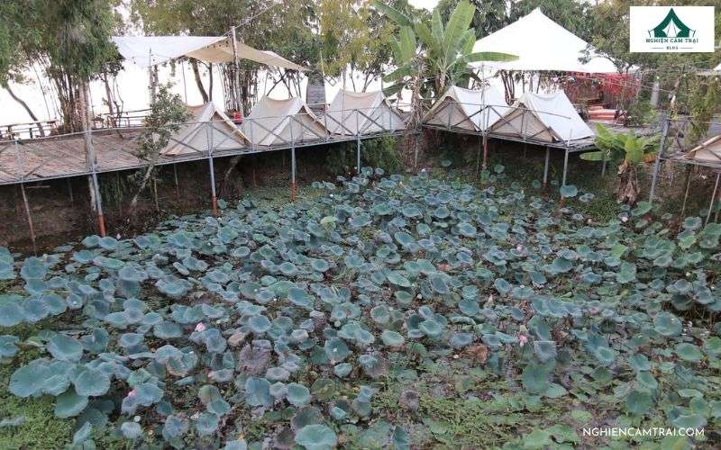 Review cắm trại Hồ Trị An từ A-Z: Kinh nghiệm, bãi đẹp và chi phí 22 Bãi Cắm Trại Holiday Camping