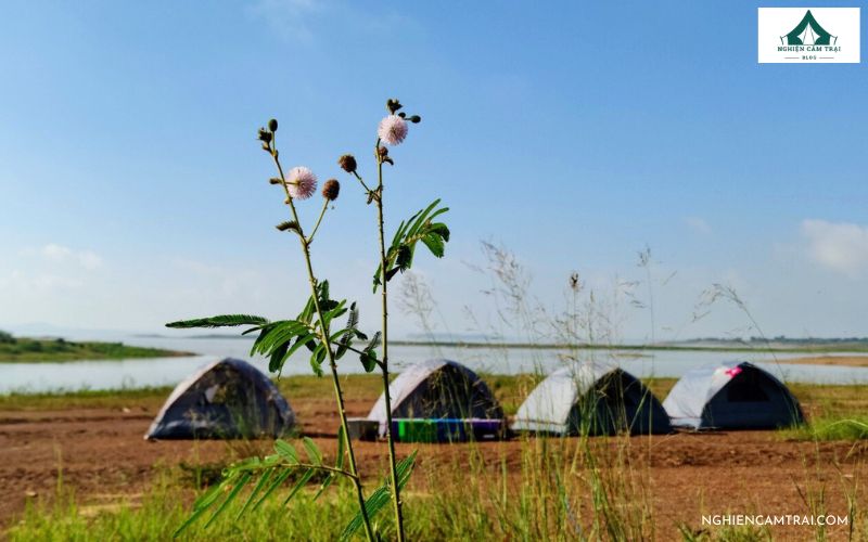 Review cắm trại Hồ Trị An từ A-Z: Kinh nghiệm, bãi đẹp và chi phí 19 Lành Farm camping Hồ Trị An