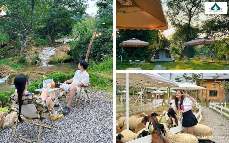 Update 5+ địa điểm cắm trại Mộc Châu siêu hot hiện nay 9 Sunny Camping Mộc Châu