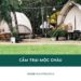 Update 5+ địa điểm cắm trại Mộc Châu siêu hot hiện nay 21 TOP 4 địa điểm cắm trại Mộc Châu nổi tiếng mà bạn nên thử