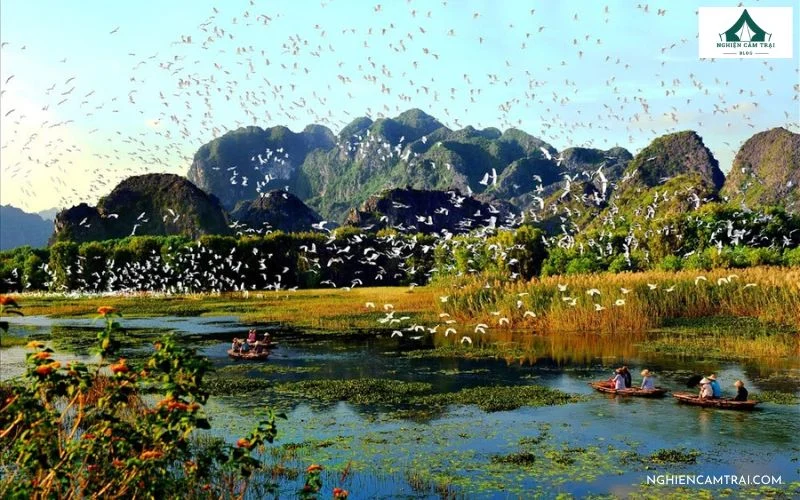 Khung cảnh sơn thủy hữu tình của đầm Vân Long Ninh Bình