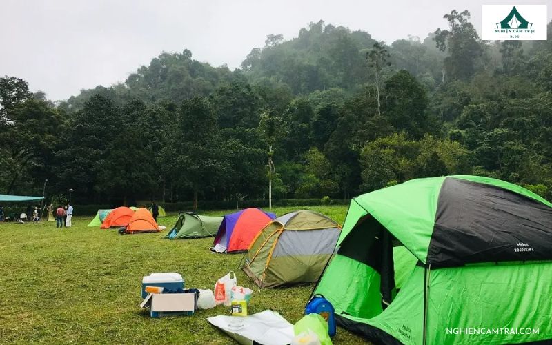 Top 5 địa điểm cắm trại Ninh Bình nổi tiếng, đẹp như tranh vẽ 7 Cắm trại ở Rừng Cúc Phương