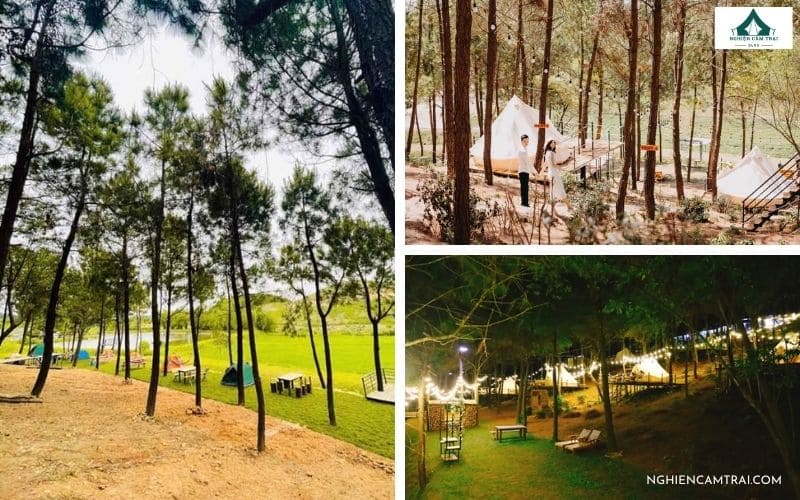 Tọa độ cắm trại cực chill ở Đồi Mây Đắng