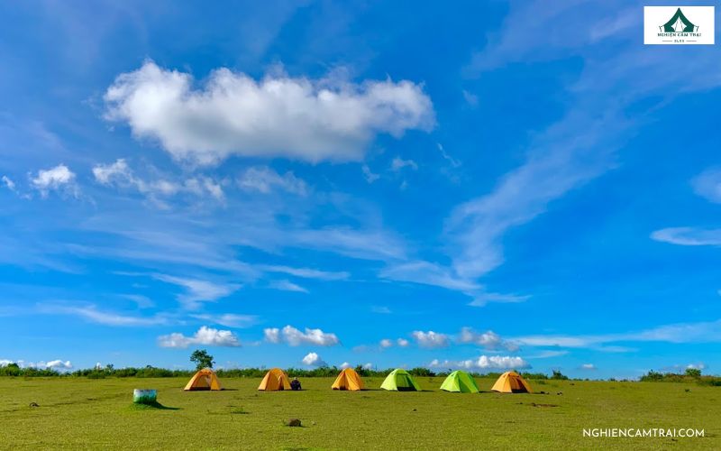 Top 7+ địa điểm cắm trại Quảng Ngãi view đẹp, cực chill 10 Cắm trại Quảng Ngãi ở Thảo Nguyên Bùi Hui
