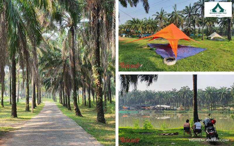 Top 12 điểm cắm trại Quảng Trị đẹp hoang sơ, chill nhất hiện nay 24 Cắm trại giữa thiên nhiên tại công viên sinh thái Cọ Dầu
