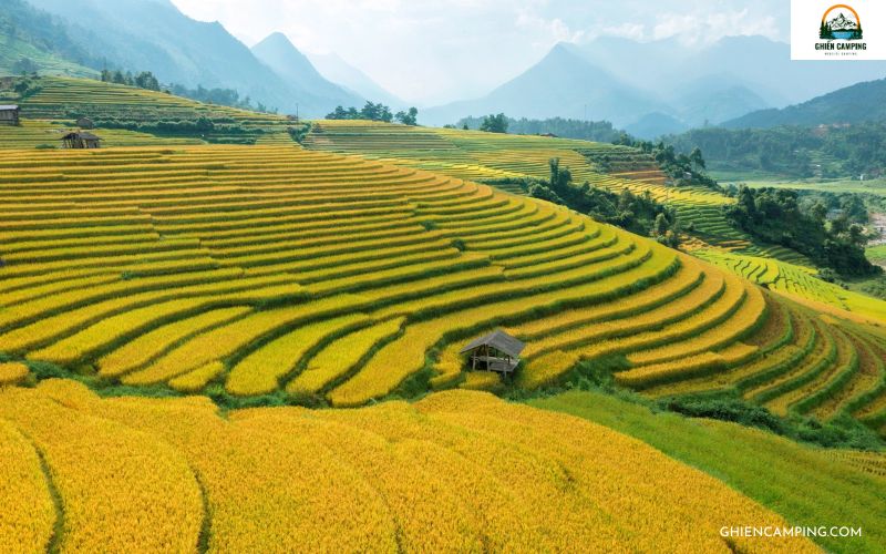 Bỏ túi ngay 5 địa điểm cắm trại Sapa đẹp như tranh vẽ 9 Cắm trại tại đỉnh ruộng bậc thang