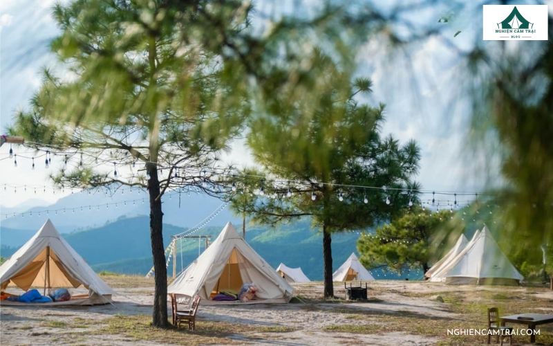 Top 5 địa điểm cắm trại Sóc Trăng hot nhất hiện nay 7 Khu cắm trại Vườn cò Tân Long – Sóc Trăng