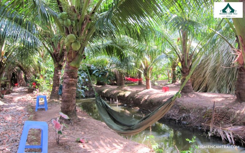 Top 5 địa điểm cắm trại Sóc Trăng hot nhất hiện nay 8 Khu cắm trại Cồn Mỹ Phước – Sóc Trăng