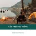 Top 5 địa điểm cắm trại Sóc Trăng hot nhất, thú vị nhất hiện nay