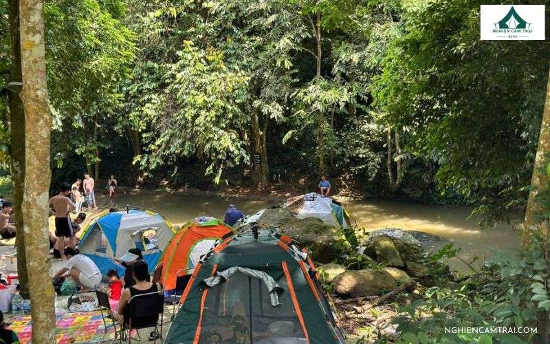 Tổ chức picnic thư giãn giữa không gian Suối Mơ