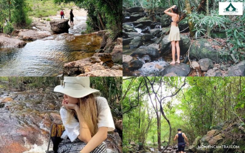 Tham quan, check-in sống ảo tại rừng trúc