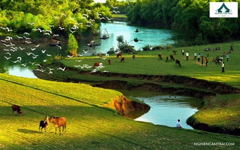 Top 10 địa điểm cắm trại Vĩnh Phúc tuyệt đẹp cho kỳ nghỉ chill 19 Cắm trại ở Núi Sáng – Thác Bay