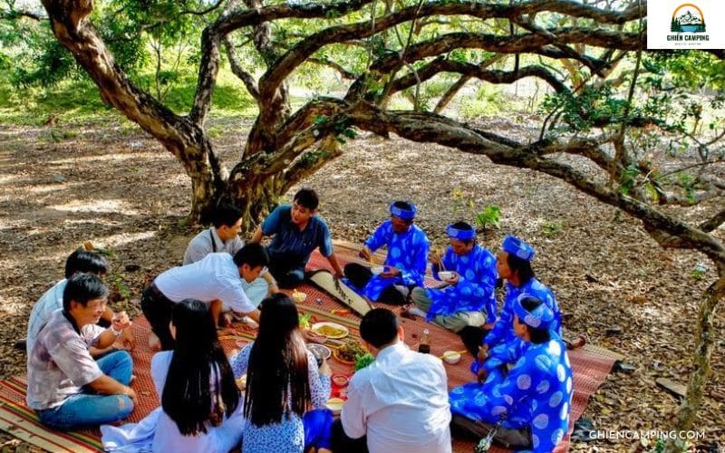 Top 10 địa điểm cắm trại miền Tây view sông nước cực chill 13 Vườn nhãn cổ Bạc Liêu – Cắm trại dưới tán cổ thụ trăm tuổi