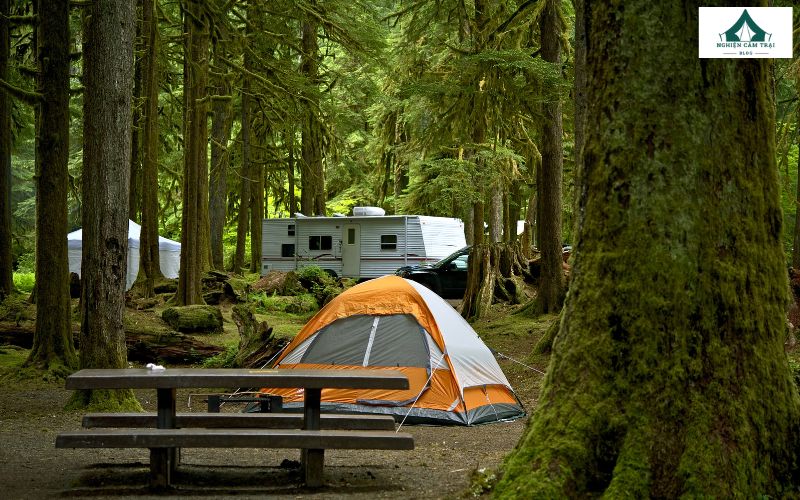Picnic khác gì camping? 5 điểm khác biệt chính bạn cần lưu ý 9 Cắm trại tiềm ẩn nhiều rủi ro hơn so với picnic