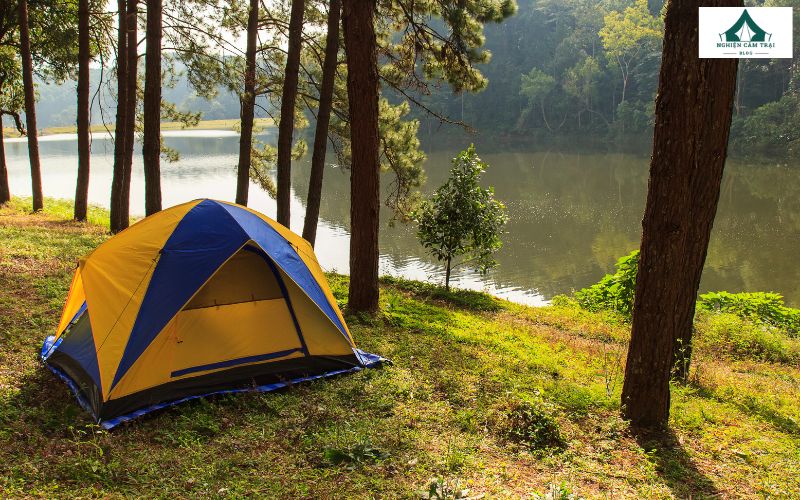 Picnic khác gì camping? 5 điểm khác biệt chính bạn cần lưu ý 10 Hiểu được picnic khác gì camping giúp bạn chọn được hình thức phù hợp