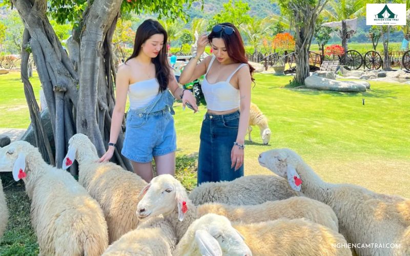 Ganesha Camping Ô Thum - Điểm cắm trại cực hot ở An Giang 11 Ganesha Camping O Thum